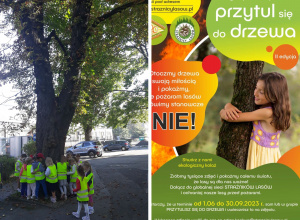 "PRZYTUL SIĘ DO DRZEWA" - udział w ogólnopolskiej kampani społecznej