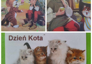 dzień kota z "Kotem w butach"