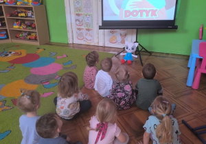 film edukacyjny o kotach