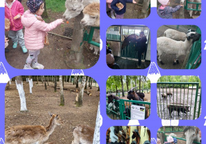 dzieci w mini ZOO