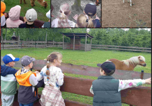 dzieci oglądają zwierzęta w mini ZOO