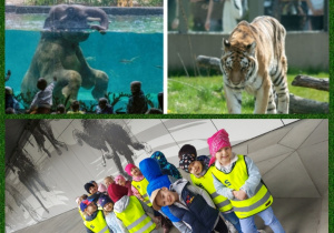 rozpoczynamy spacer po ZOO
