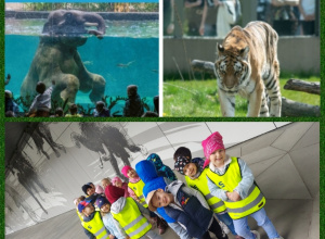 "Biedroneczki" na wycieczce w łódzkim ZOO