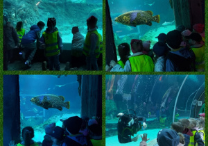 zwiedzamy Orientarium w strefie Oceanicznej