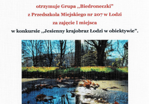 dyplom konkurs fotograficzny - Jesienny krajobraz Łodzi w obiektywie - I miejsce - 2025