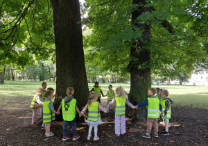 dzieci oglądają napotkane drzewa w parku