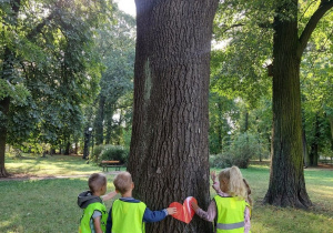 dzieci razem tulą drzewo
