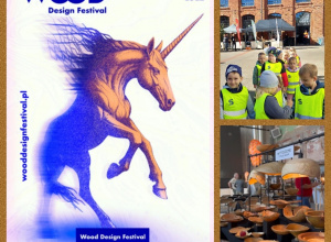 "Wood Design Festival" - "Biedrpneczki" na festiwalu drewna