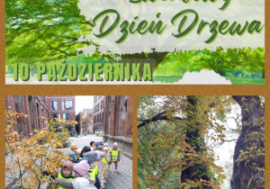 dzieci poznają w naturalnym otoczeniu drzewa