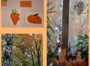 Dzień koloru pomarańczowego u „Kotków”