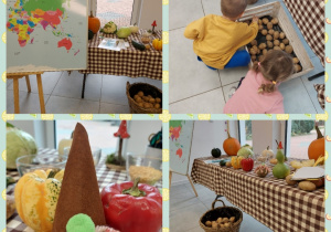 dzieci poznają warzywa i ich pochodzenie