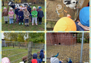 w zwierzyńcu pod skałką