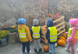 dzieci oglądaja dynie na wystawie