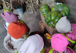 dzieci z dużym zainteresowaniem ogladają dynie