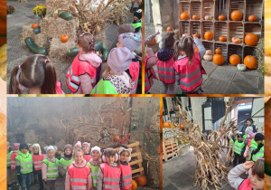 dzieci liczą oglądane dynie