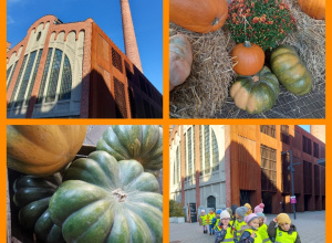 "Biedroneczki" odwiedziły "Farmę Dyń" w Fuzji