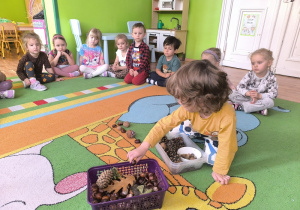 dzieci układają rytmy z darów jesieni