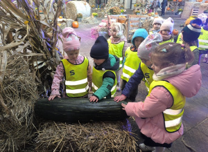 "Kotki" na wystawie dyń w Fuzji