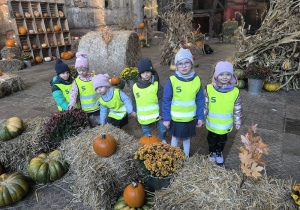 dzieci oglądają dynie ułożone na belach słomy