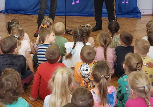 mariachi opowiada o vihueli