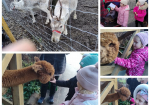 dzieci zwiedzają ZOO