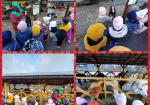 dzieci dokarmiają zwierzęta w zagrodach