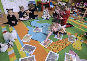 dzieci rozmawiają o kotach drapieżnych