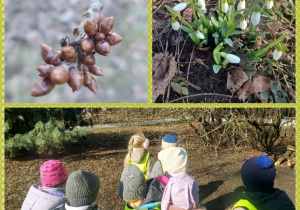 dzieci oglądają przebiśniegi w parku