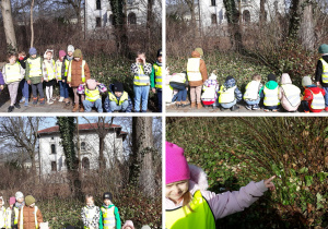 dzieci prowadzą obserwacje przyrodnicze w parku