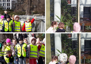 dzieci oglądają rośliny doniczkowe