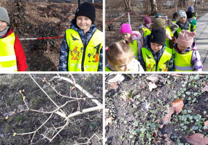 dzieci poszukują w parku pierwszych oznak wiosny