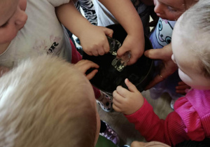 dzieci sprawdzają czy lód naprawdę jest zimny