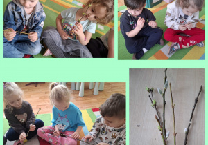 przedszkolaki przyglądają się wierzbowym baziom