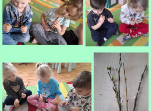 Wiosenne obserwacje przyrodnicze u „Kotków”