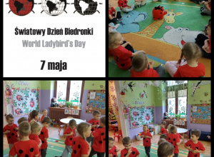 World Ladybird’s Day - Światowy Dzień Biedronek w grupie "Biedroneczek"