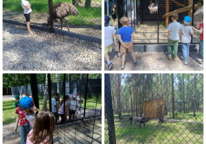 dzieci w mini ZOO