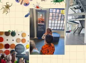 „Gwiazdeczki” w niezwykłym świecie owadów - wizyta w Centralnym Muzeum Włókiennictwa